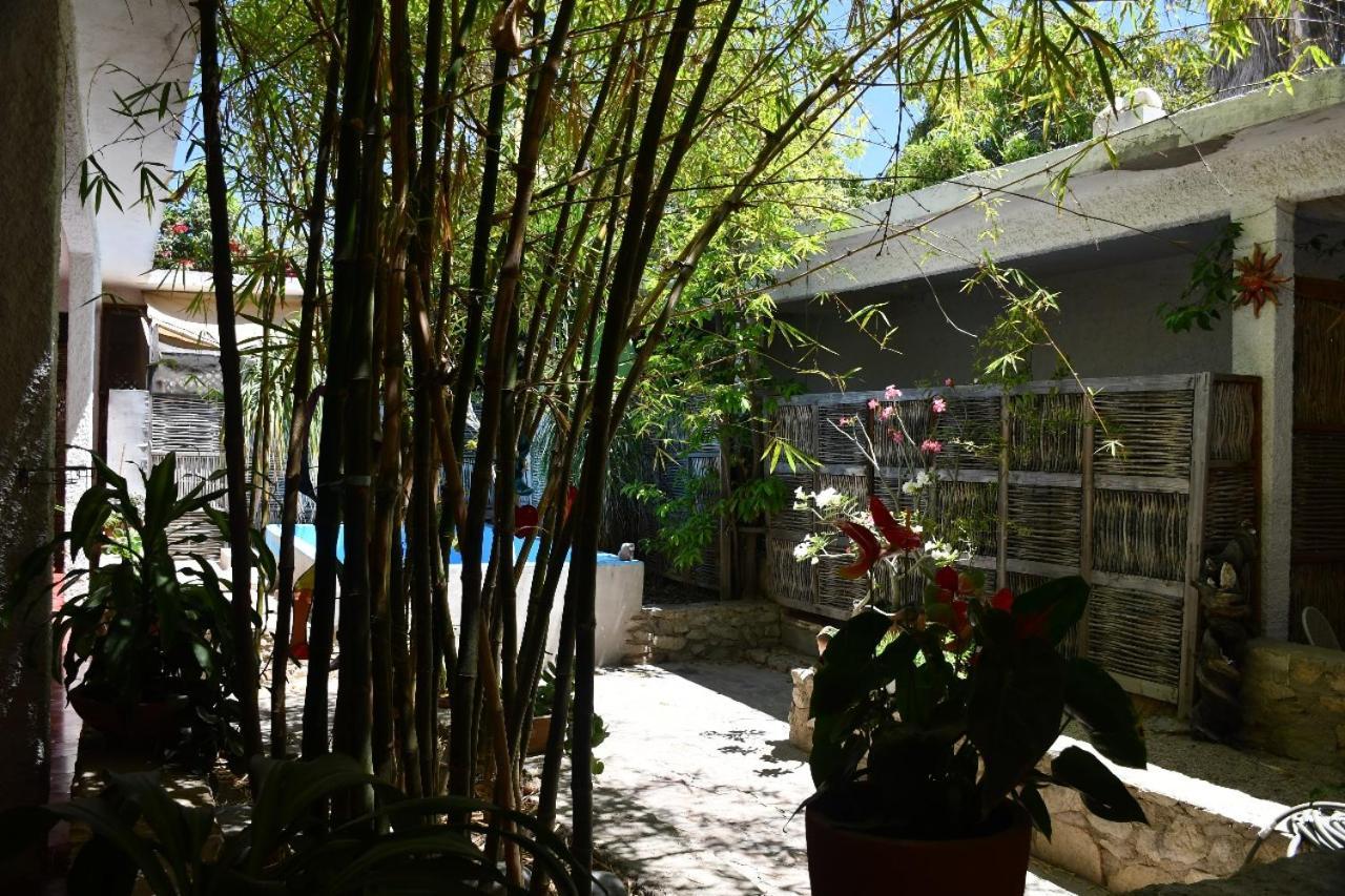 La Playita Hostal San José del Cabo Exterior foto